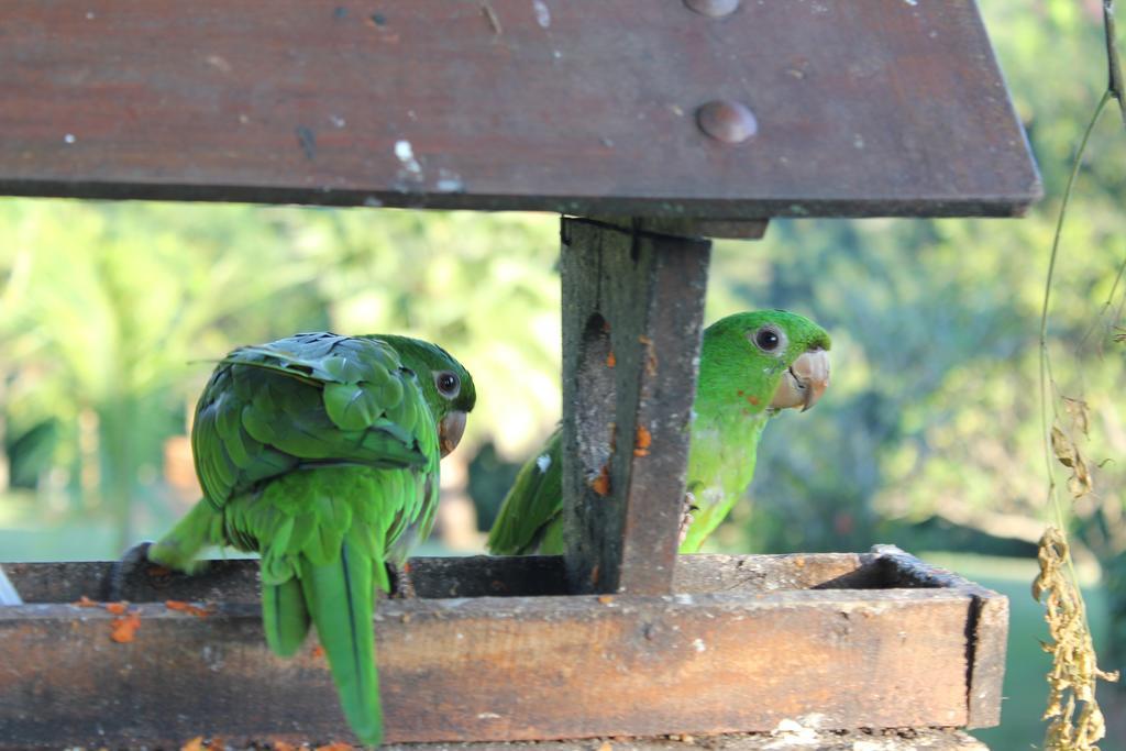 Hotel Fazenda Jacauna Brotas Bagian luar foto